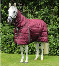 Zdjęcie Premier Equine Derka Stajenna Dla Koni Z Osłoną Szyi Hydra 350G - Sulechów