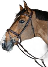 Zdjęcie Dy'On Szelki Końskie Z Kombinowaną Muserolą Plecioną - Łask