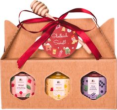 Zdjęcie Bartnik Mazowiecki Zestaw Miód Z Maliną Cytryną I Czarną Porzeczką 3X200g - Międzybórz