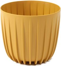 Zdjęcie Osłonka Niska Mira Kolor Musztardowy - Oława