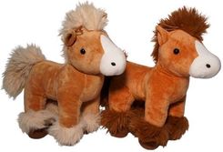 Zdjęcie DEEF Konik Kosmaty Duży 04372 - Grodzisk Mazowiecki