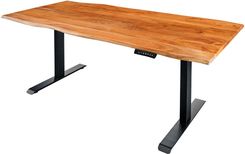 Zdjęcie Invicta Interior Blat Biurka Mammut 120X70cm Akacja (44821) - Wodzisław Śląski