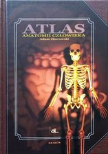 Zdjęcie Atlas anatomii człowieka - Adam zborowski - Dzierżoniów