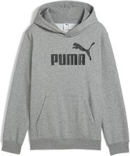 Zdjęcie Młodzieżowa polarowa bluza z kapturem ESS z logo No. 1 PUMA - Parczew