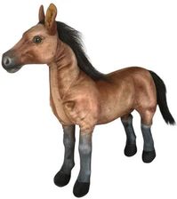 Zdjęcie Dubi Koń Arabski 55Cm - Kórnik