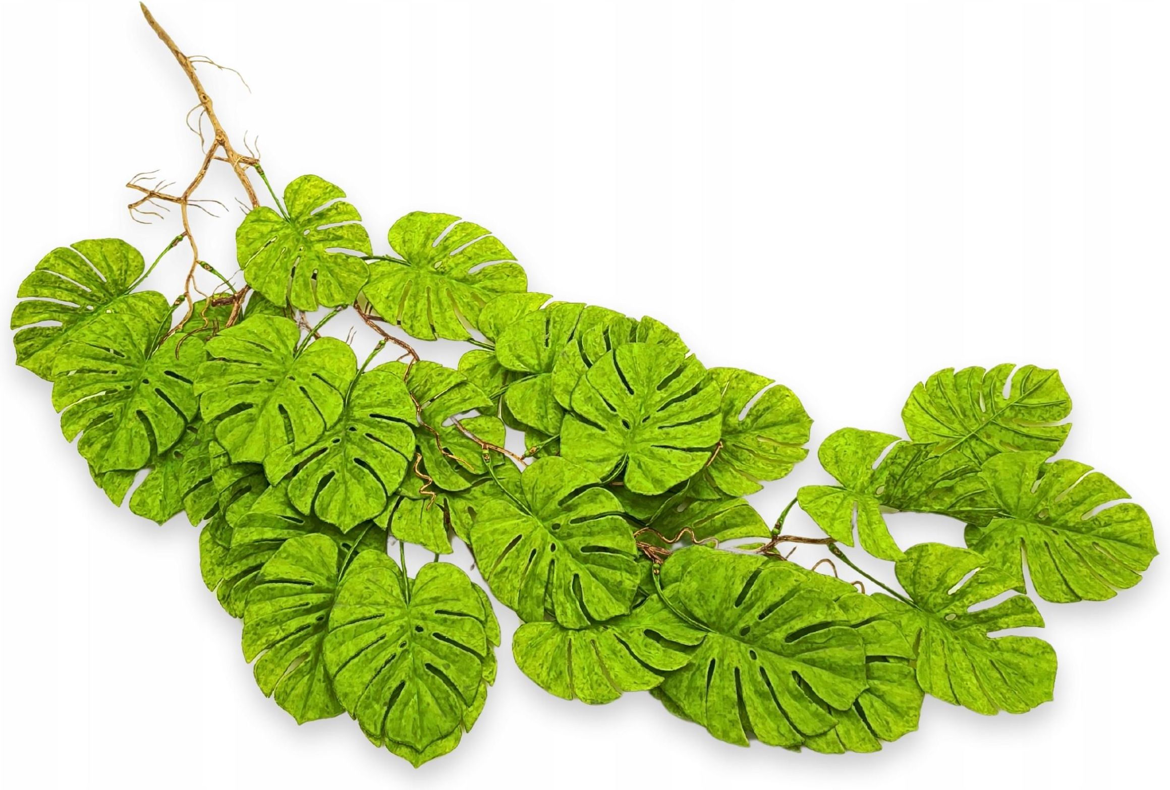 Bioterr Monstera Sztuczna Do Terrarium Licie Wiszce 95Cm MONSTERAWISZCA  - Ceny i opinie - Ceneo.pl