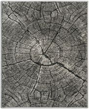 Zdjęcie Komfort Tronko Szary 25M X 120Cm - Buk