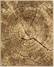 Zdjęcie Komfort Tronko Orzech 25M X 120Cm - Gryfino