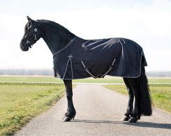 Zdjęcie Qhp Zewnętrzna Derka Dla Koni Turnout Big Neck 150G - Kobyłka