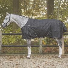 Zdjęcie Qhp Zewnętrzna Derka Dla Koni Collection 300G - Wisła