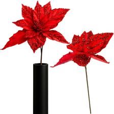 Zdjęcie Saska Garden Gwiazda Betlejemska 30Cm - Przeworsk