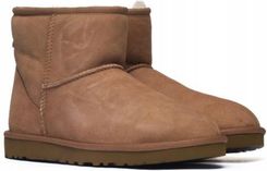 Zdjęcie Śniegowce Ugg M Classic Mini 1002072-CHE 45 - Maszewo