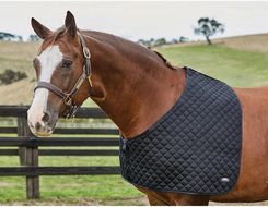 Weatherbeeta Ochraniacze Na Barki Dla Koni Deluxe Czarne