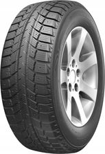 Doublestar Winterking Dw-07 195/70R14 91T