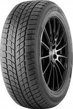 Zdjęcie Doublestar Winterking Dw-09 245/45R18 96T - Słupca
