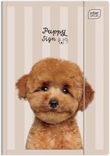 Zdjęcie Interdruk Teczka Z Gumką A4+ Lux Uv Puppy Sign Teguflps - Brwinów