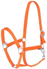 Zdjęcie Kantar dla konia Covalliero Hippo Pomarańczowy SHETTY - Opole