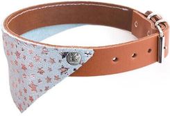 Zdjęcie Martin Sellier Obroża Dla Psa Miami Pomarańczowe 25cm - Łomża