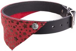 Zdjęcie Martin Sellier Obroża Dla Psa Miami Niebieskie 30cm - Nowe Skalmierzyce