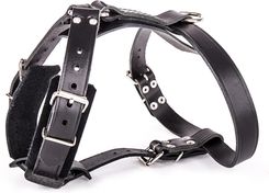 Zdjęcie Martin Sellier Skórzane Szelki Dla Psa Czarne - Knurów