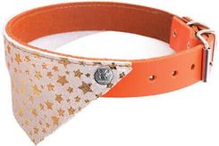 Zdjęcie Martin Sellier Obroża Dla Psa Miami Czarne 25cm - Kielce