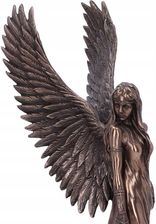Zdjęcie Nemesis Now Figurka Anne Stokes Spirit Guide B6051W2 - Kłodzko