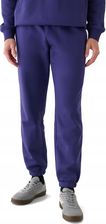 Zdjęcie Spodnie Męskie Dresowe 4F Brush Basic TTROM1140 AW25 3XL - Zator