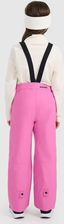 Zdjęcie 4F Dziewczęce Spodnie Narciarskie Ftrf0948 Różowy 55S 164Cm - Trzebinia