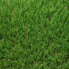 Zdjęcie Komfort Sztuczna Trawa Savona 4M - Dąbrowa Tarnowska