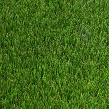 Zdjęcie Komfort Sztuczna Trawa Viva 2M - Dąbrowa Tarnowska