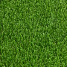 Zdjęcie Komfort Sztuczna Trawa Lea 2M - Kalisz Pomorski