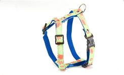 Zdjęcie Martin Sellier Uprząż Dla Psa S Zielone - Ujście