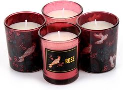 Zdjęcie Świecznik Panon GM50-19Q041-02 - Kórnik