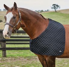 Weatherbeeta Ochraniacze Na Barki Dla Koni Deluxe Czarne