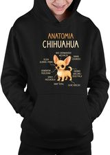 Zdjęcie Anatomia Chihuahua - dziecięca bluza na prezent - Cieszyn