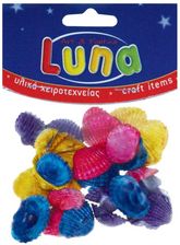 Zdjęcie Luna Muszelki Kolorowe - Górzno