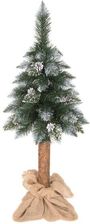 Zdjęcie Choinka na pniu Sosna Kanadyjska 90 Cm - Serock