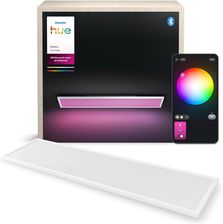 Zdjęcie Philips Hue Prostokątny Panel Surimu (8721103044556) - Ostroróg