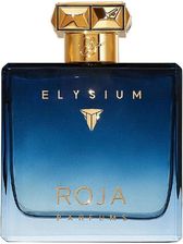 Zdjęcie ROJA PARFUMS ELYSIUM POUR HOMME WODA PERFUMOWANA TESTER - 100ML - Prusice