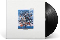 Zdjęcie Talk Talk: Spirit Of Eden (Vinyl) - Opatowiec