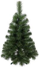 Zdjęcie marka niezdefiniowana Choinka Sosna 60 Cm - Starogard Gdański