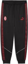 Zdjęcie Męskie spodnie AC Milan KING Anthem PUMA - Białogard
