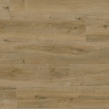 Zdjęcie Classen Pura Dąb Piaskowy 68267 - Grajewo