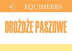 Zdjęcie Equiherbs Drożdże Paszowe Yeast Saccharomyces Cerevisiae - Ulanów