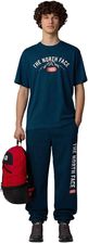 Zdjęcie The North Face Koszulka S/S Varsity Graphic Nf0A89Dg1No - Jasień