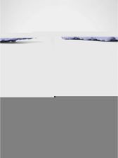 Zdjęcie Kapcie damskie Columbia THRIVE REVIVE - Sokółka