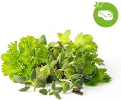 Zdjęcie Click & Grow And - Smart Garden Refill 9-Pack Grill Steak Mix - Września