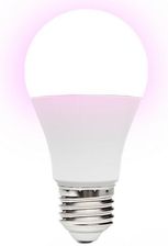 Zdjęcie Kobi Żarówka Do Roślin Led Planty Gs 11W E27 1200K Design - Bierutów