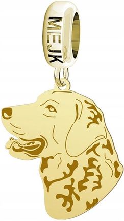 Mejk Jewellery Charms Modułowy Pozłacany Chesapeake Bay Retriever 925 Prezent DEDYKACJA (CHESAPEAKEBAYRETRIEVER)