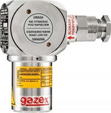 Zdjęcie Gazex Detektor Gazów Dex-73/N CVI927 - Chełmek